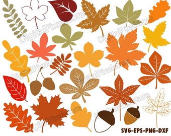 May include: A set of 18 autumn leaf and acorn SVG cut files in various colors, including red, orange, yellow, brown, and green. The leaves are in different shapes and sizes, and some have a more detailed design than others. The acorns are brown and have a simple design.
