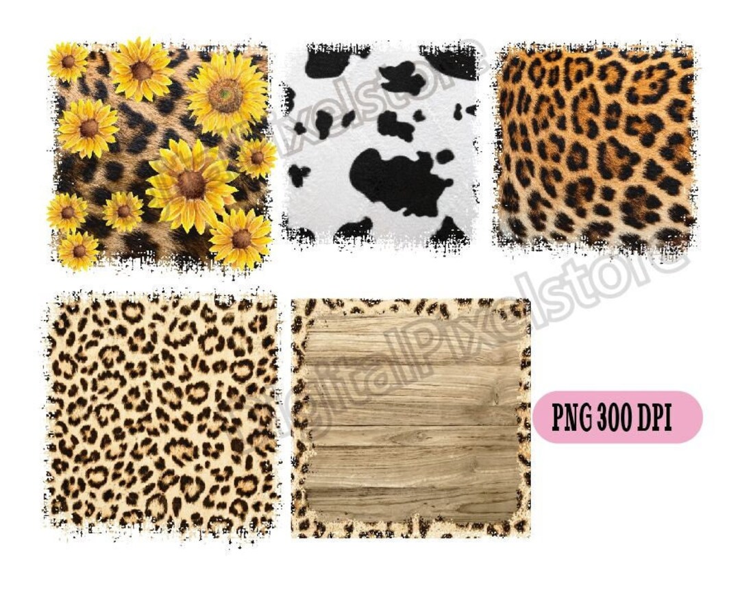 Leopard Print and Turquoise Background,png Backsplash,leopard Sunflower