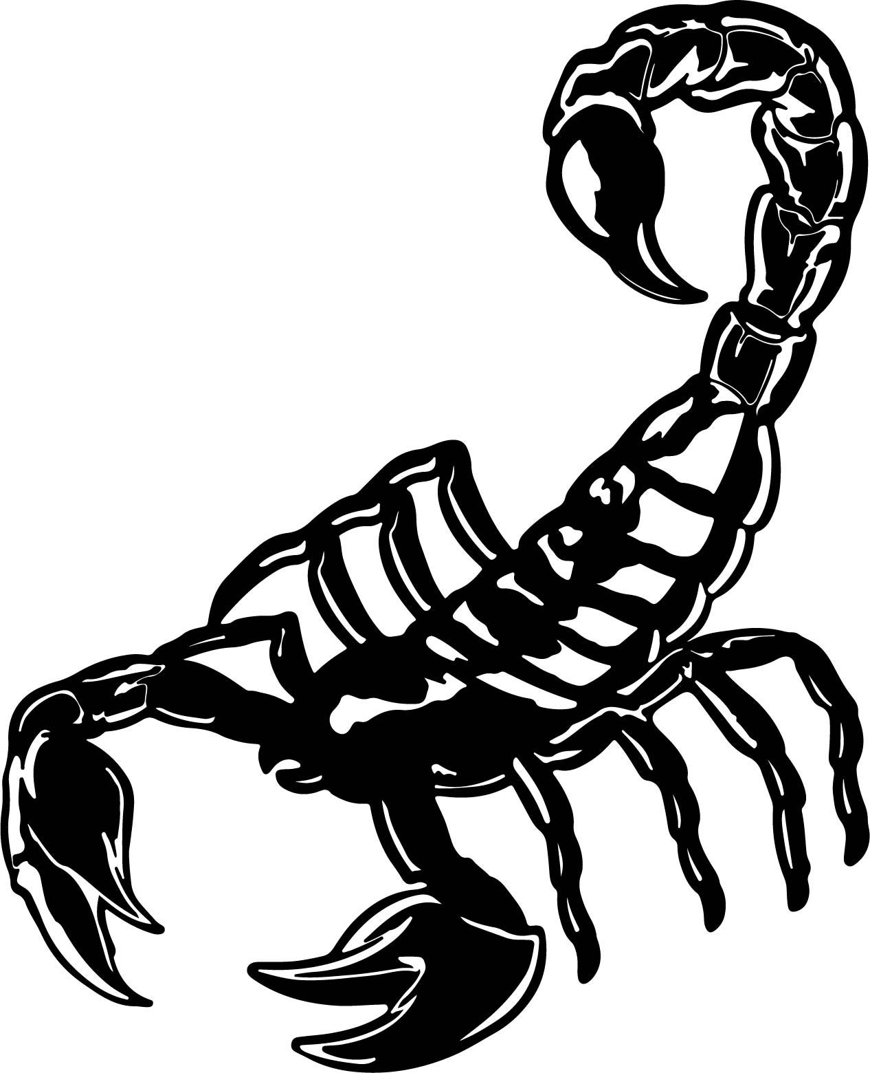 Scorpion Svgscorpion Clipartscorpion Pngscorpio SVG | Etsy