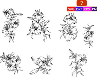 Lily Flower Clipart  Etsy