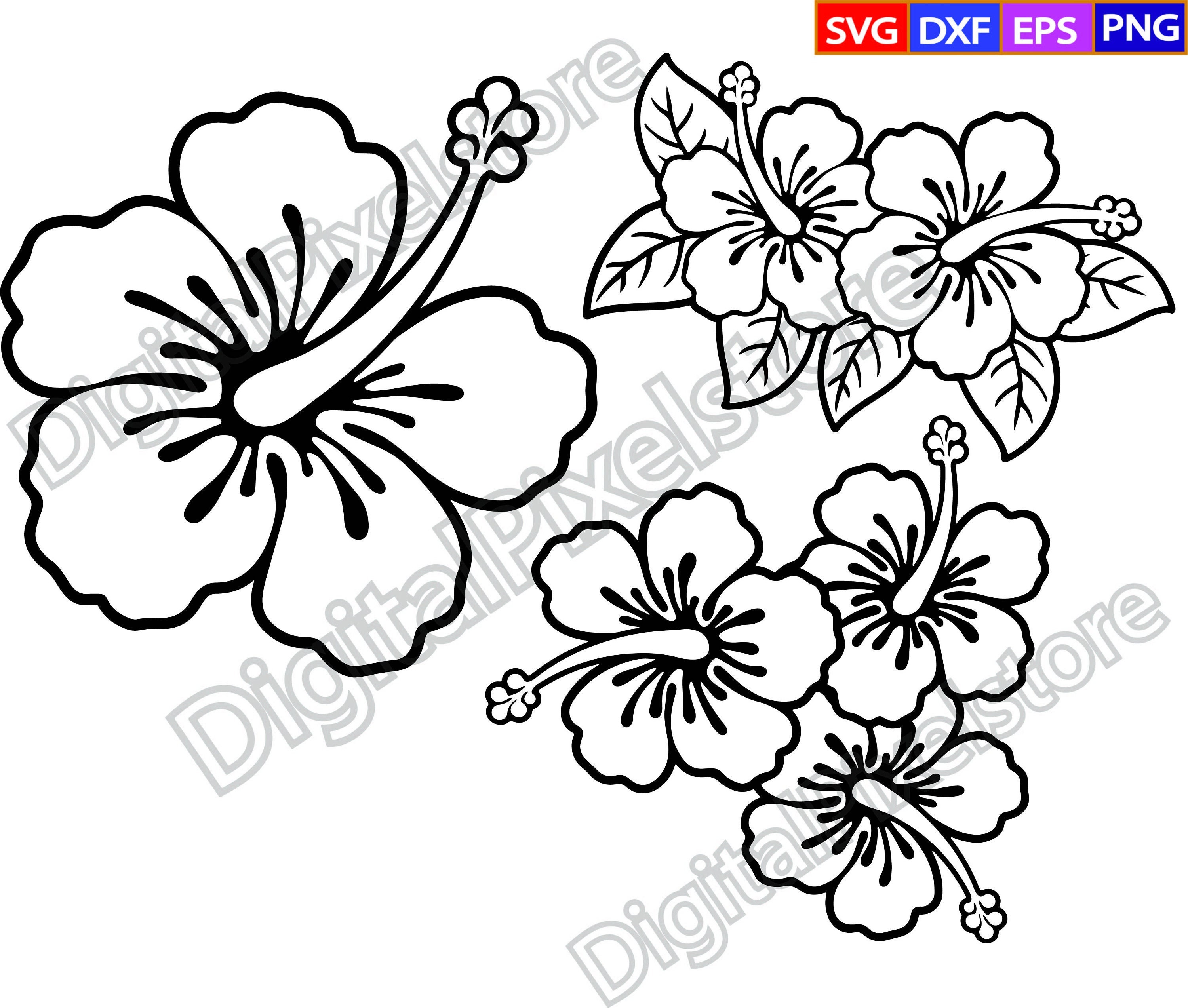Hibiscus Svghibiscus Outlinetropical Flowersfloral - Etsy
