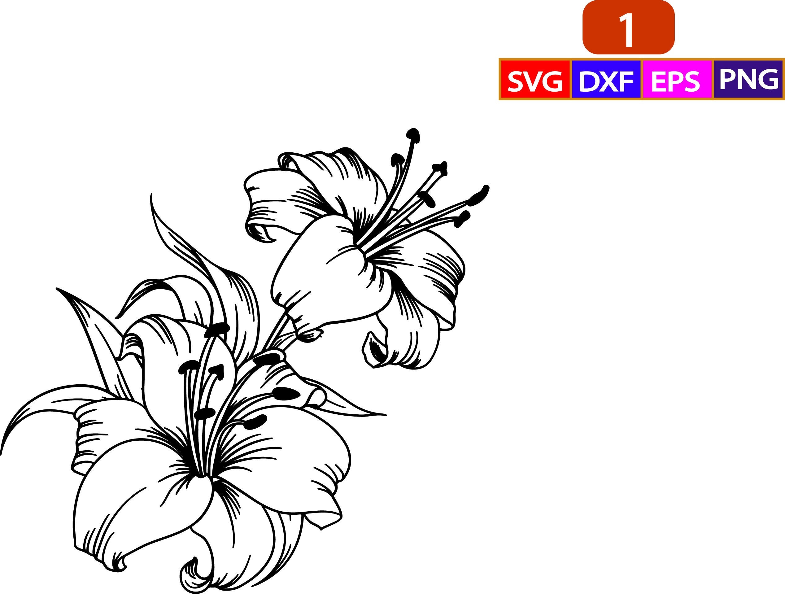 Lily Flower Svg lily SVG Flower Svg Files for Cricut Cut Etsy