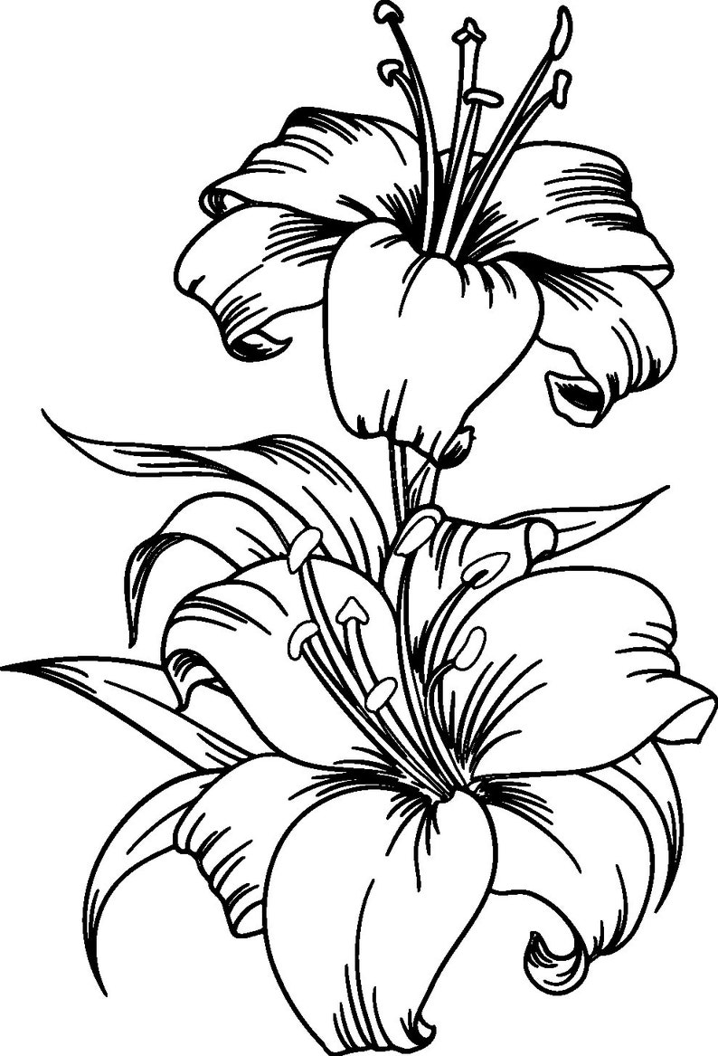 Free Free 210 Flower Svg Cut SVG PNG EPS DXF File