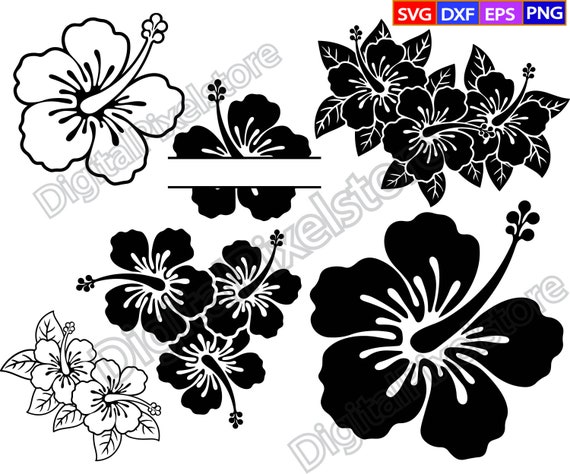 ハイビスカスの花のSVG：ハワイアンクリップアート、名前フレーム
