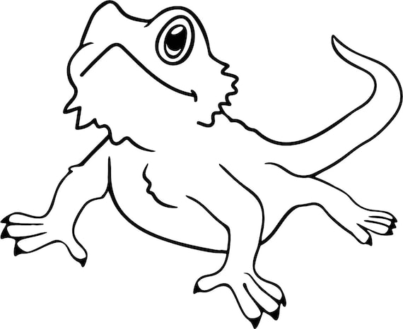 60 Free Coloring Pages Bearded Dragon  HD