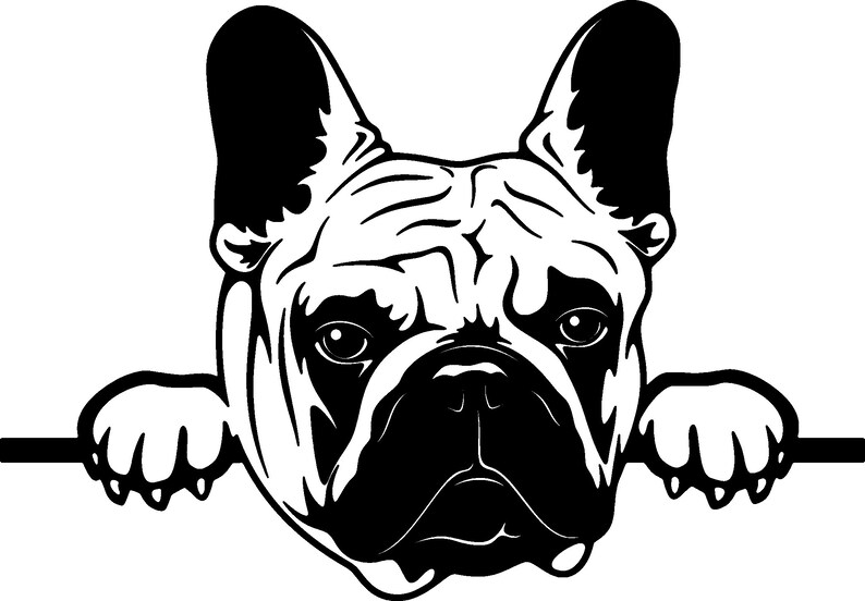 Download French Bulldog Svg Peeking Paws Svg French Cutfile French Bulldog Png French Bulldog Svg Silhouette Frenchie Svg American Bulldog Svg Digital Prints Art Collectibles Kientructhanhdat Com