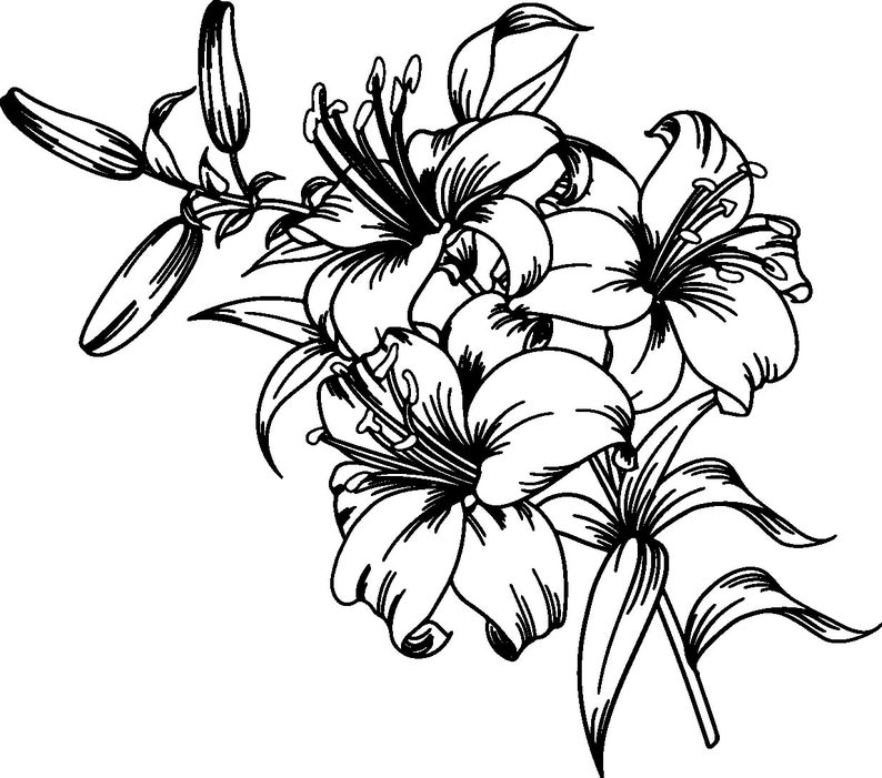 Download Lily SVGLily Flower svg Flower Svg Files for Cricut Cut | Etsy