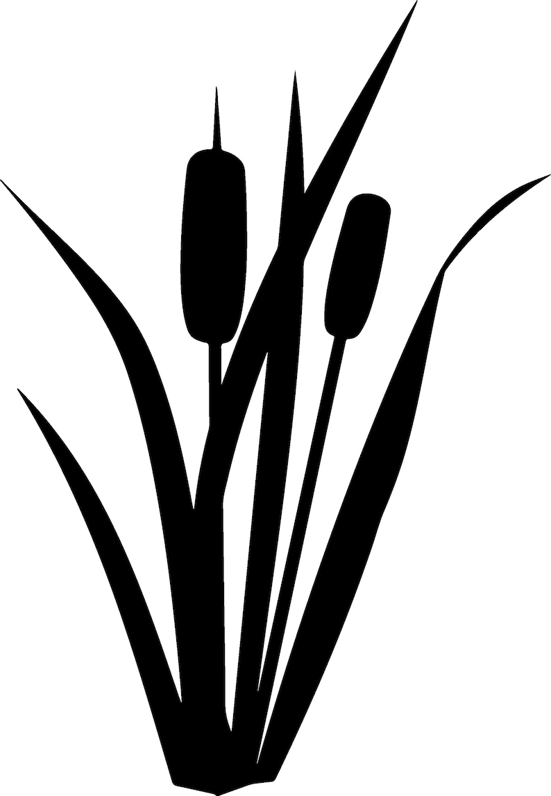 Cattail SvgCattail FlowerCattail Vector Cattail | Etsy