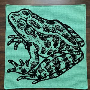 Puede incluir: Una manta de ganchillo con un diseño de rana en blanco y negro sobre un fondo verde claro. La rana se muestra de perfil, con una textura de piel detallada. La manta es de forma cuadrada, ofreciendo una estética artesanal.