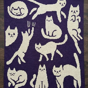 Afghan cat blanket crochet pattern – Kitten throw overlay mosaic PDF
