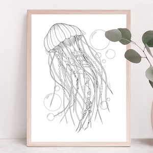 Qualle Kunstdruck | Feine Linie Floral Art