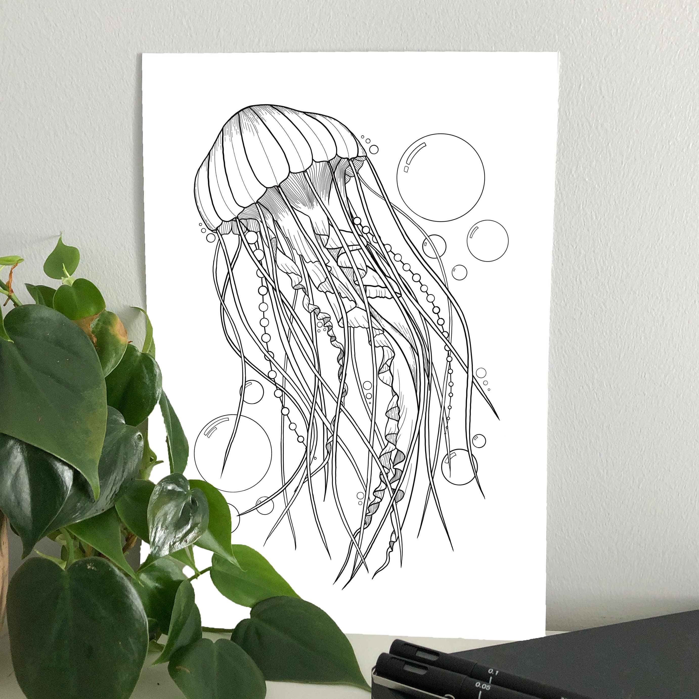 Jellyfish Art Print, Canadian Artist, Pen On Paper Co