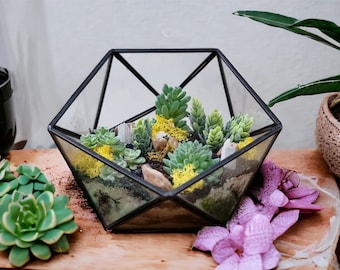 DIY luxury geometric metal and glass terrarium kit with plants and accessories - perfect gift to create your own mini garden