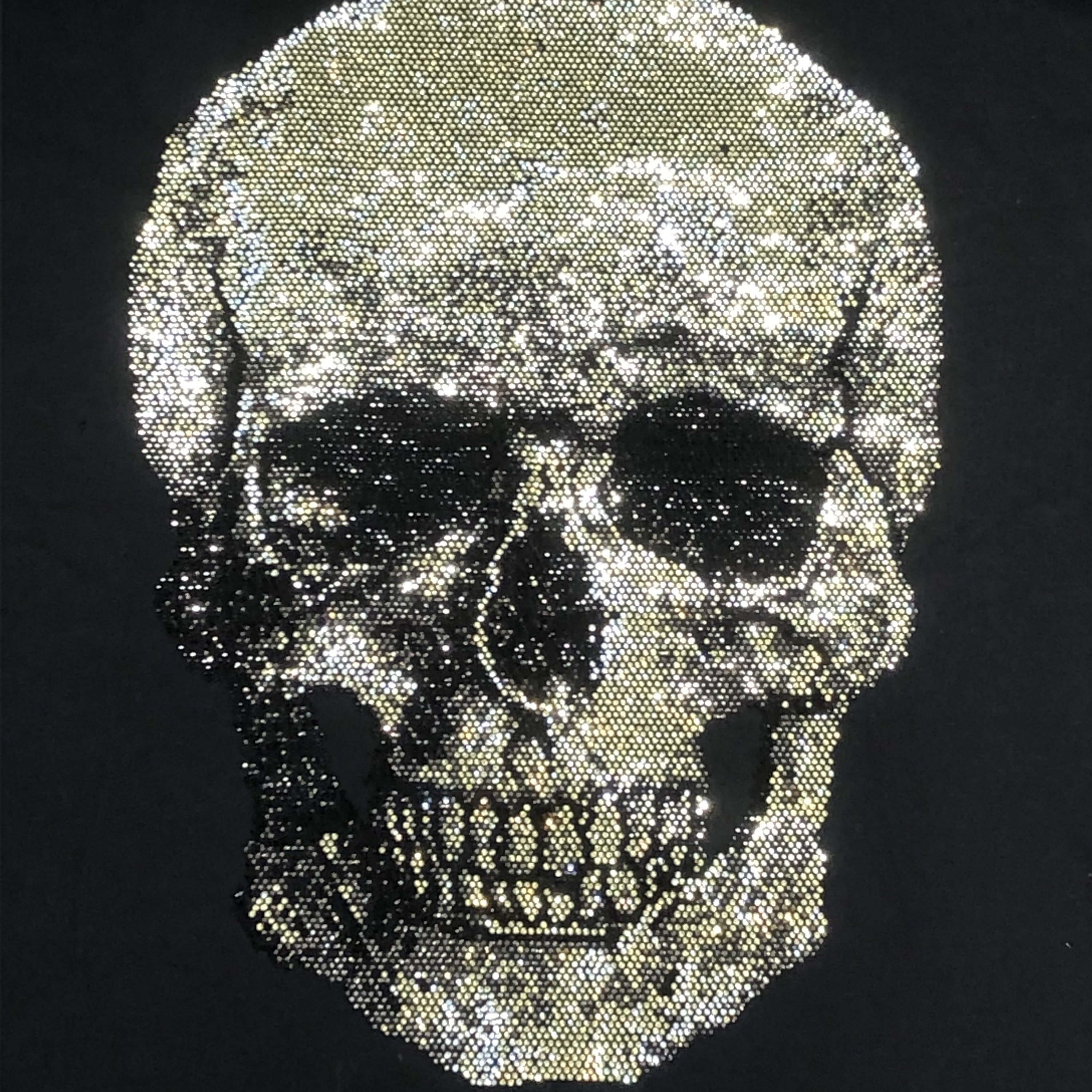 rhinestone skull t shirt