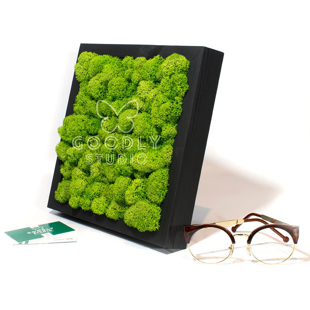 Set Moss Wall Art Modern Home Decor Green Moss Moss Etsy