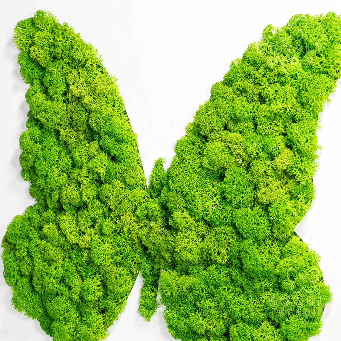 Moss Butterfly Moss Art Moss Wall Art Home Decor Moss | Etsy