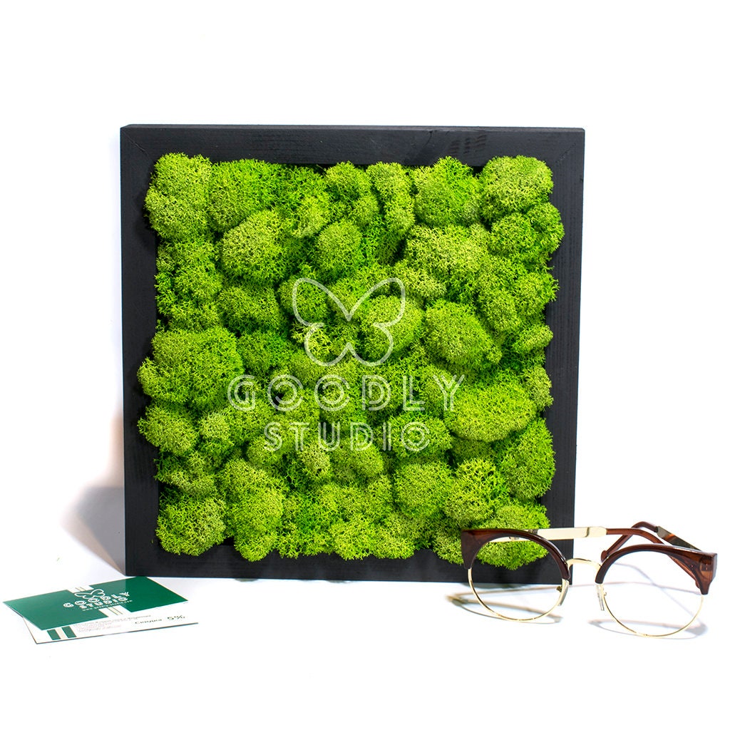 Set Moss Wall Art Modern Home Decor Green Moss Moss Etsy