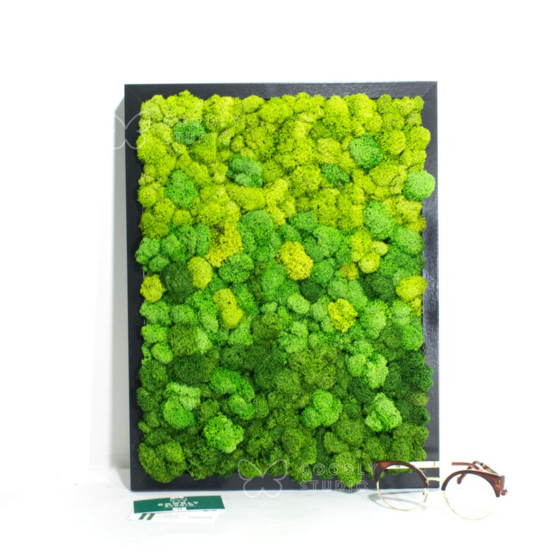 Moss Wall Art Moss Art Preserved Moss Moss Frame Real Etsy
