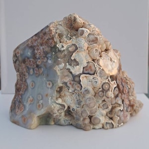 Orbicular Ocean Jasper Free Form