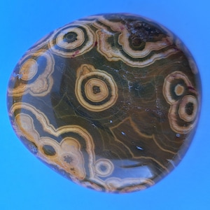 Kabamby Ocean Jasper Palm Stone