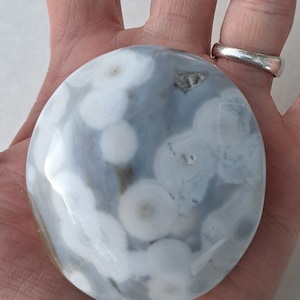 8th Vein Ocean Jasper Palmstone