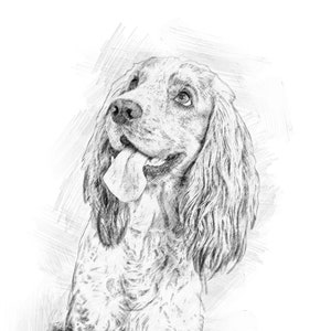 Pencil Sketch Custom Dog Portrait, Pencil Wall Art, Dog Mom Gift, Puppy, Personalized Pet Portrait From Photo, Dog Painting Digital Drawing