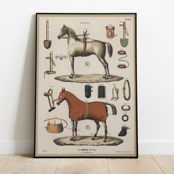 Antique Horseback Riding Equipment Poster, Equestrian Chromolithograph, Vintage Horseback Riding Wall Art, Stable Decor, Horses Art