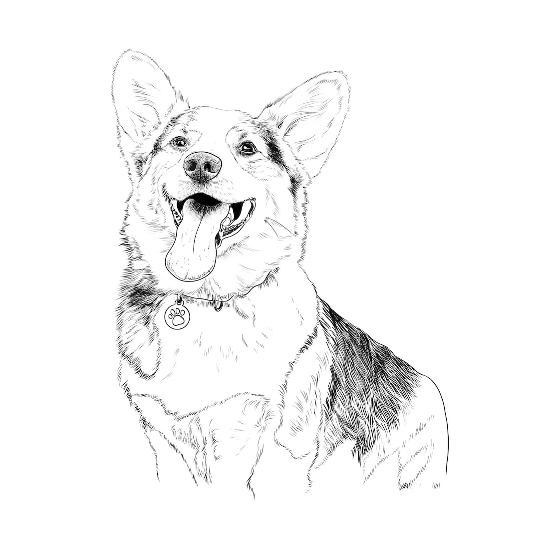 Ink Sketch Custom Pet Portrait Personalized Pet Illustration From Photo ...