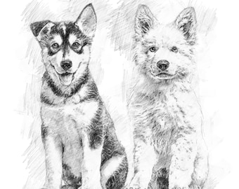 May include: A black and white husky puppy and a white shepherd puppy sitting side by side. Both puppies are looking at the camera.