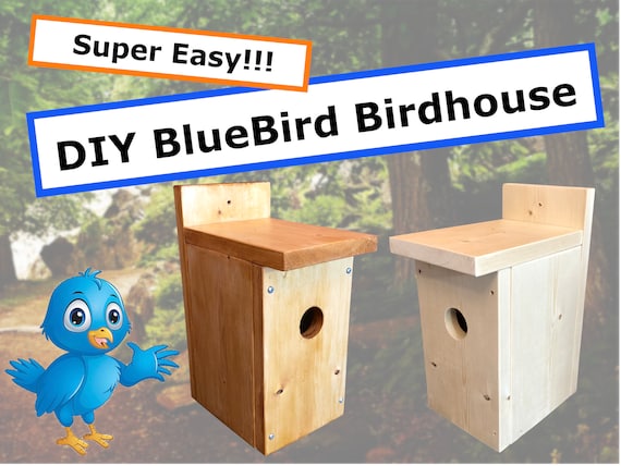 Bluebird House Plans Free PDF Download Construct101, 48% OFF