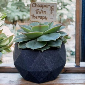 May include: A succulent plant in a black geometric pot with a wooden sign that reads "Cheaper Than Therapy".