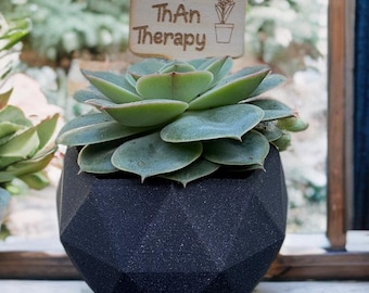 Funny Succulent Gift – Modern Geometric mini Pot with Plant Quote Stick | 2” Succulent  Pot & Stick Only