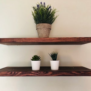 May include: Two wooden shelves mounted on a wall, the top shelf has a potted plant with purple flowers and green leaves, the bottom shelf has two potted succulents, all in white pots.