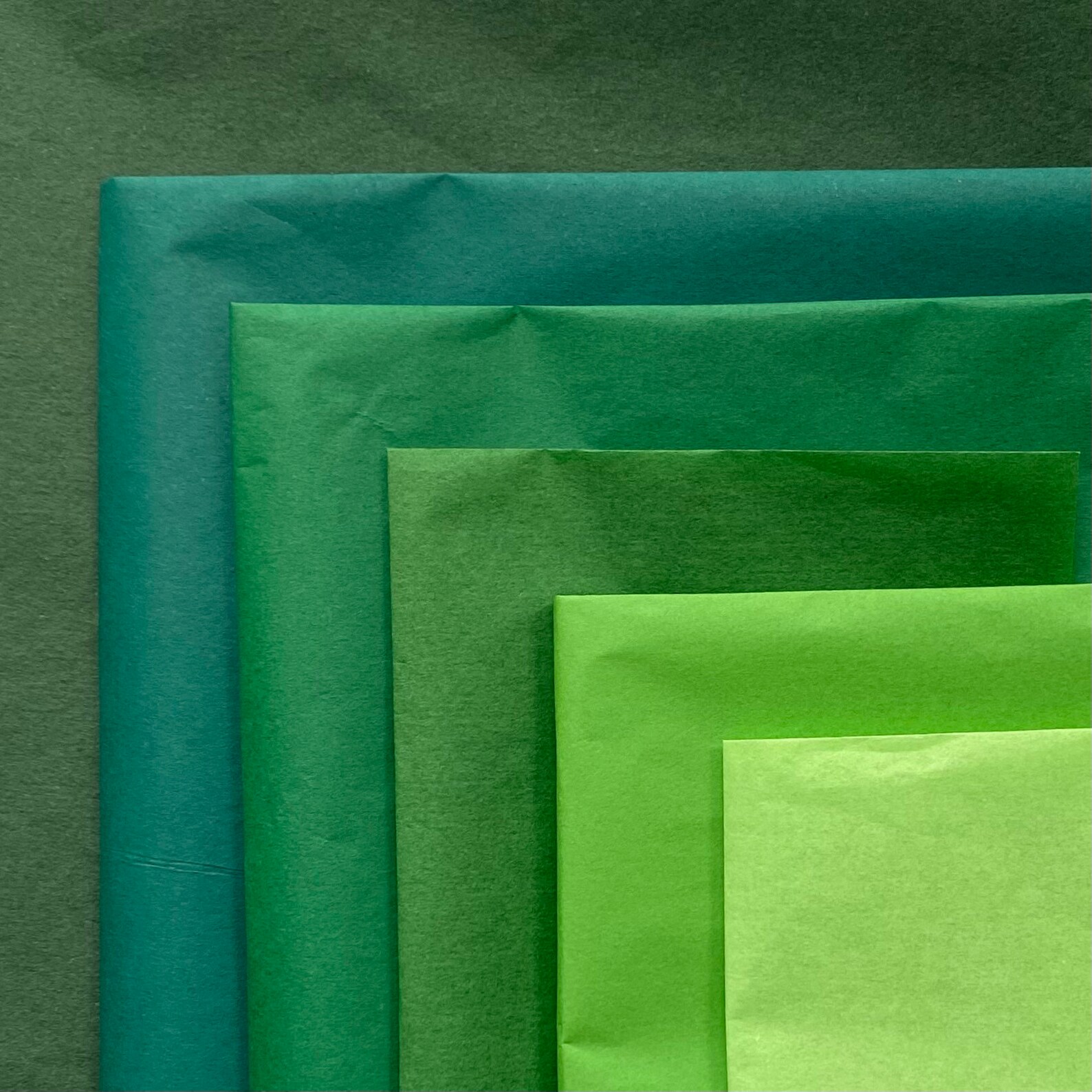 Green eco friendly tissue paper. Green acid free gift wrap for Etsy