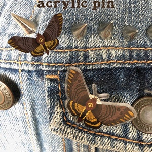 Death&#39;s Head Moth Acrylic Pin
