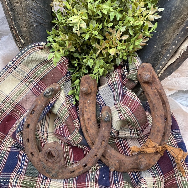 Horseshoe Cactus Etsy