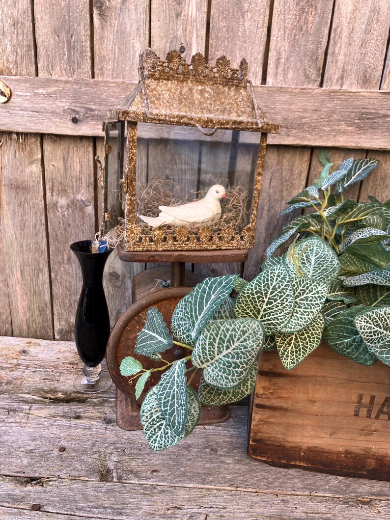 Puede incluir: Una jaula de p&aacute;jaros antigua y decorativa con detalles dorados y una figura de paloma blanca en su interior. Se encuentra sobre una superficie de madera r&uacute;stica, junto a un jarr&oacute;n negro y vegetaci&oacute;n artificial. Tambi&eacute;n hay una caja de madera con las letras "HA".