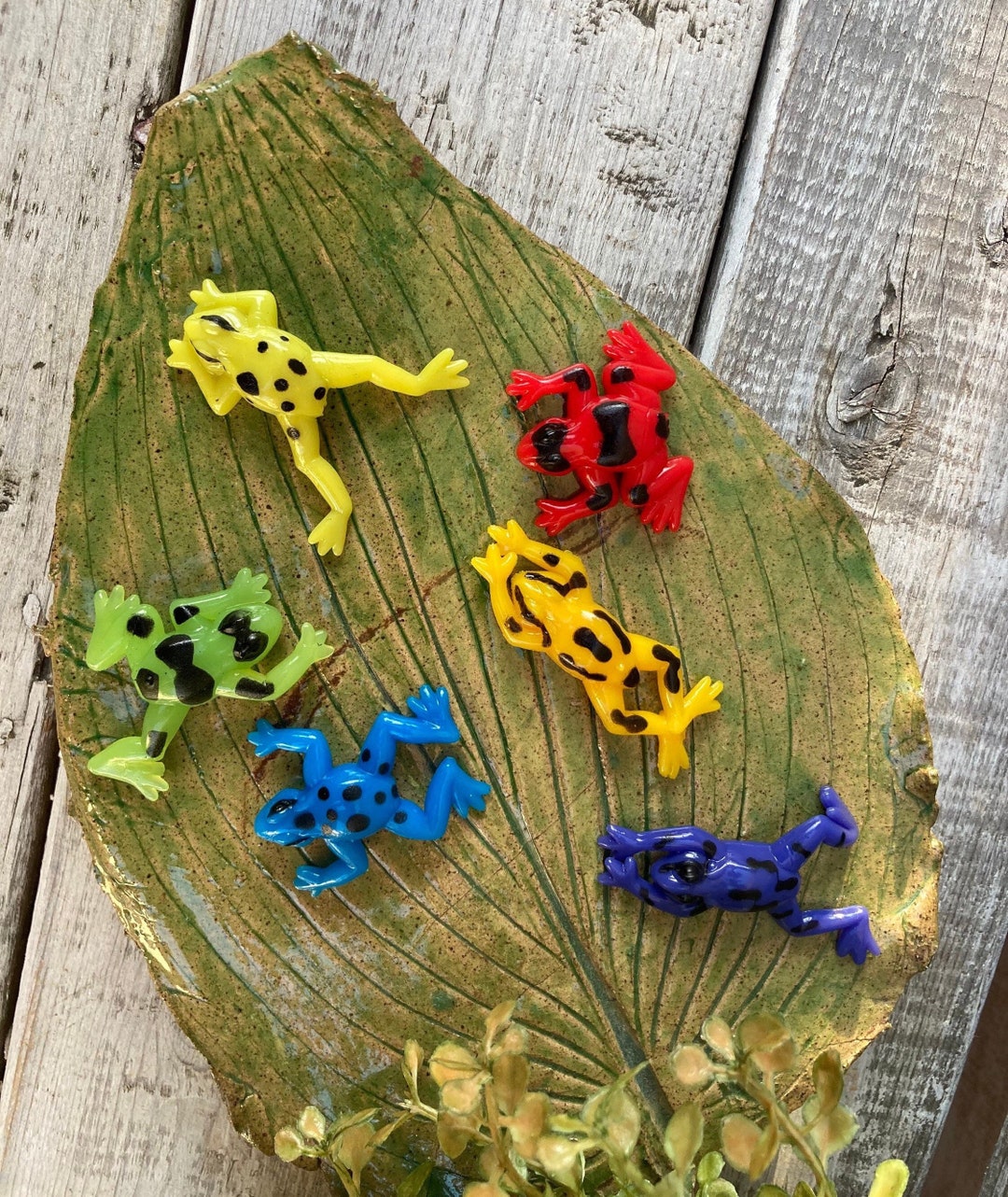 Tree Frog Toyscolorful Sensory Frogs Etsy