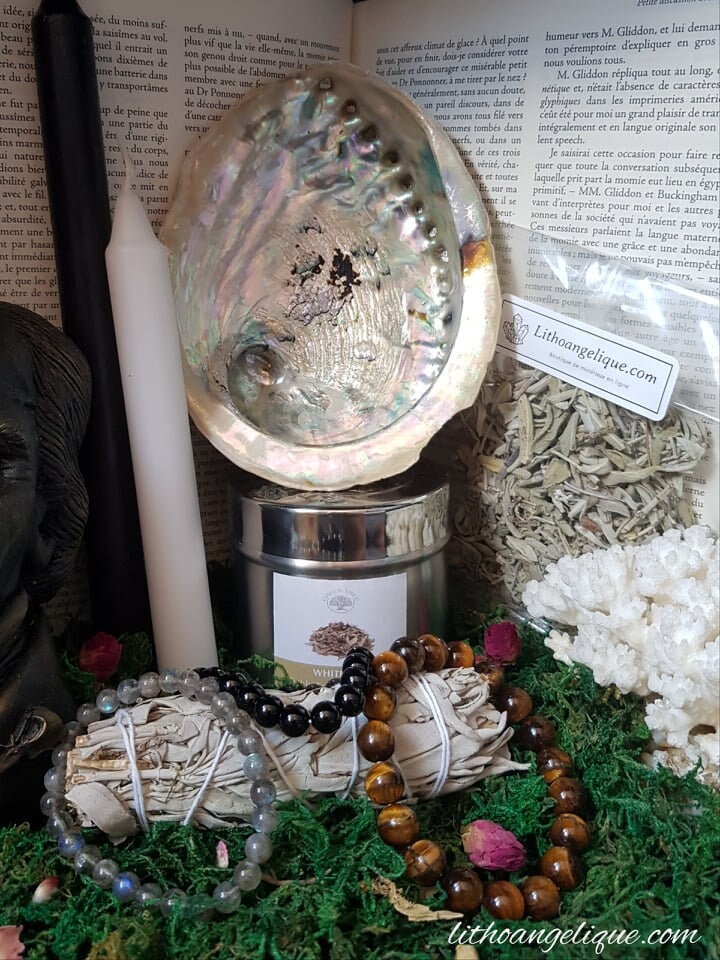 Box Protection - Grande