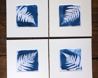 Cyanotype Floral Art - Mounted Original Art- Pressed Fern- Botanical Art- Unique Cyanotype - Cyanotype paper- Blue Wall Art- Fern Print