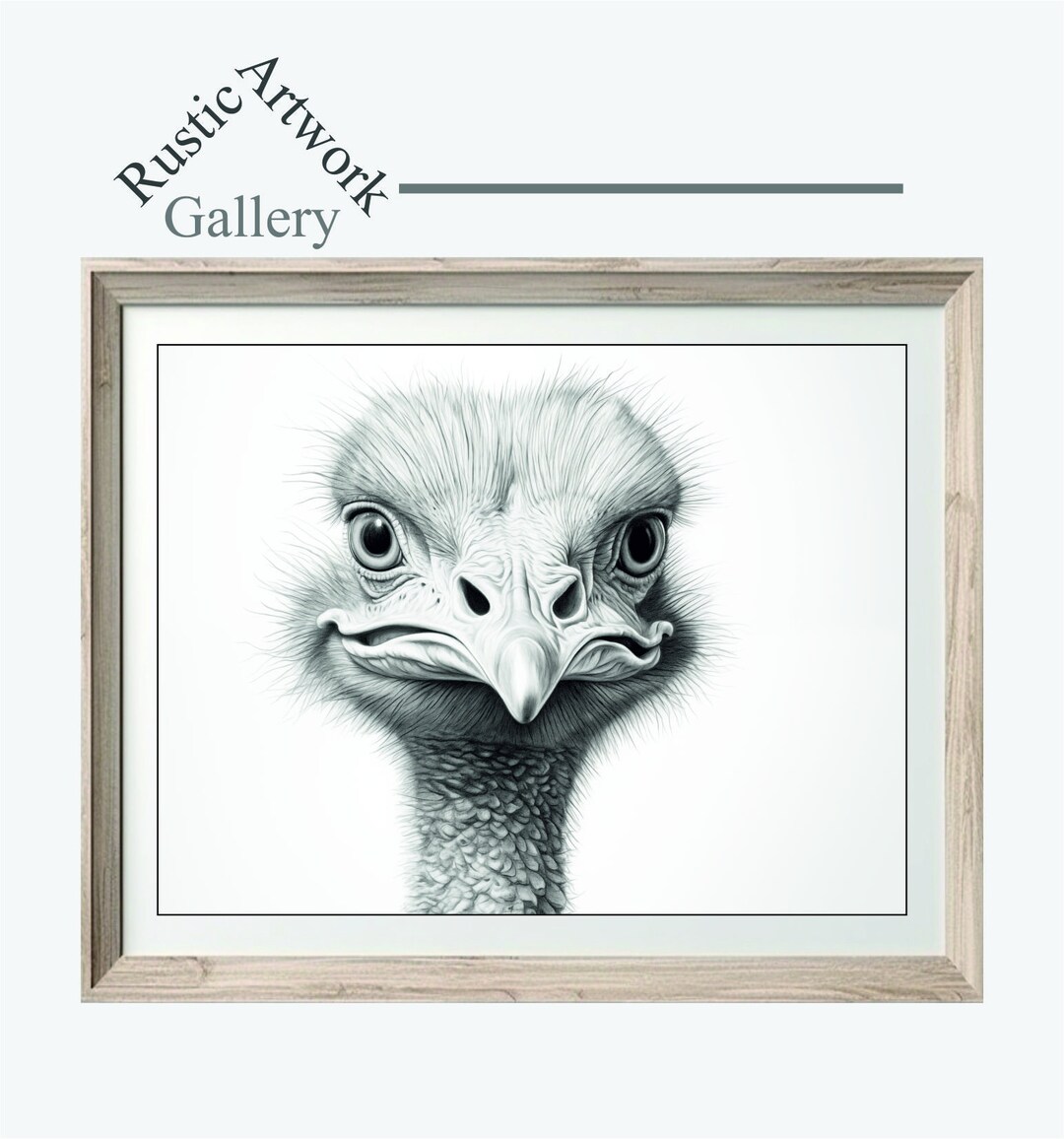 Black and White Sketch Prints, Pencil Drawing, Wildlife, Ostrich Print ...