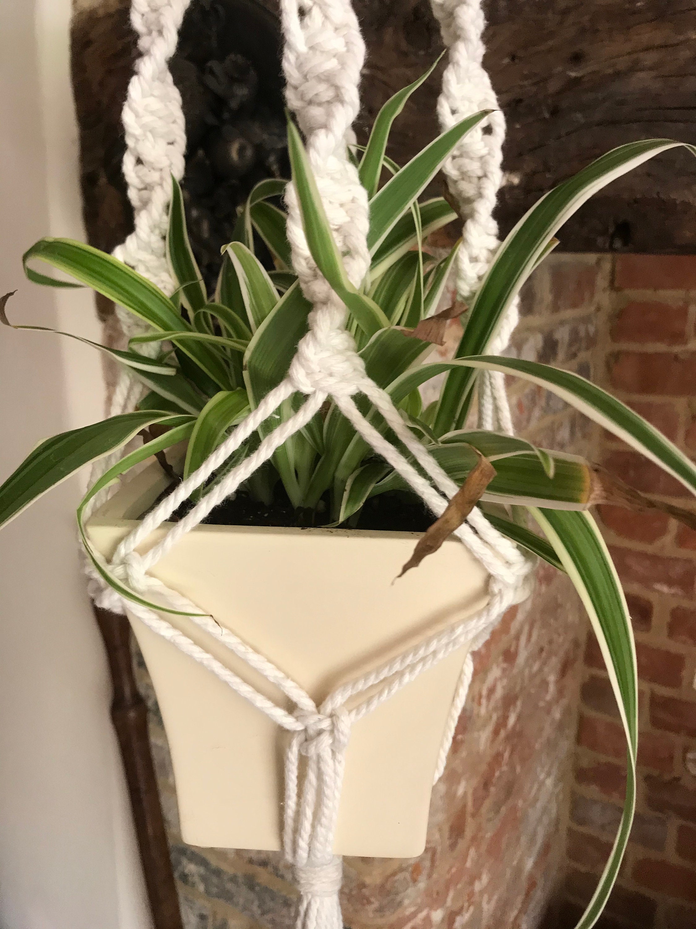 Colgador de planta de techo Naturall Macrame | Etsy