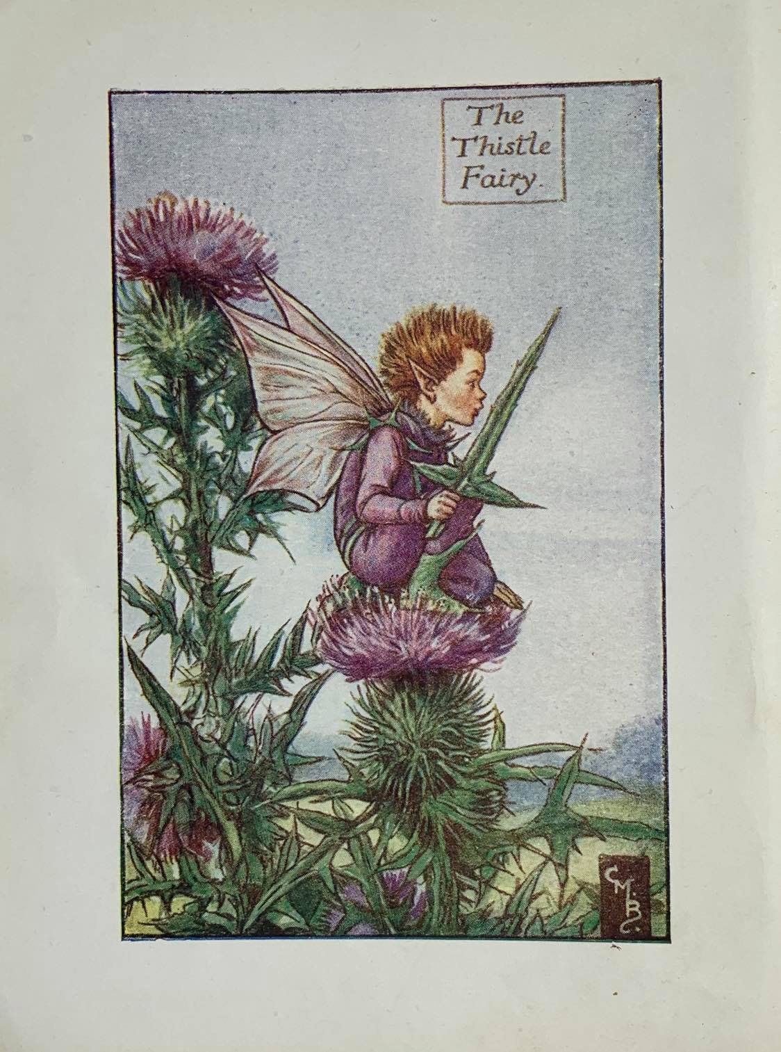 1925 Original Vintage First Edition Cicely Mary Barker Illustrated Plate 'The Thistle Fairy' From Flower Fairies Of The Summer
