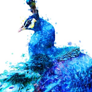 May include: A watercolor painting of a blue peacock with its head turned to the side. The peacock's feathers are spread out behind it, creating a colorful and abstract background.