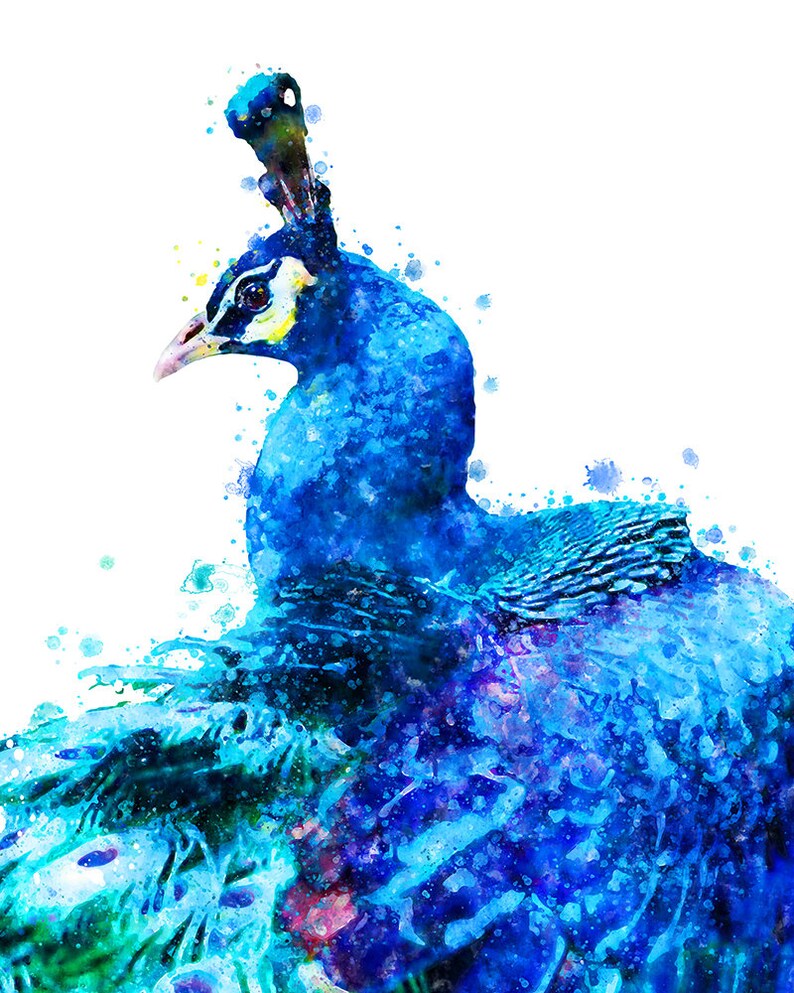 May include: A watercolor painting of a blue peacock with its head turned to the side. The peacock's feathers are spread out behind it, creating a colorful and abstract background.