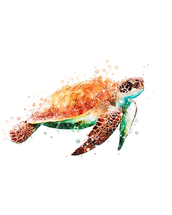 ウミガメプリント動物水彩画ポスターカメの絵画動物寝室ホーム