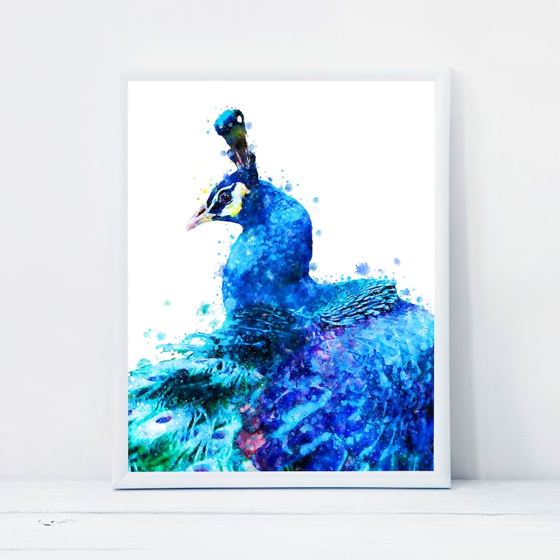 May include: A watercolor painting of a blue peacock with a white background. The peacock's feathers are spread out in a fan shape, and the colors are vibrant and colorful.