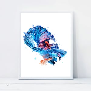 Peut inclure: Peinture à l'aquarelle d'un poisson combattant bleu et orange avec une longue nageoire caudale flottante. Le poisson est représenté dans une pose dynamique, ses nageoires déployées. L'arrière-plan est une toile blanche avec des éclaboussures de peinture bleue et orange.