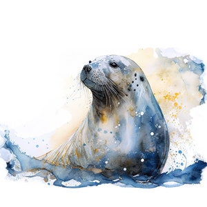 Seal watercolor art, seals print, sea lion art, Sea lion watercolor, 99