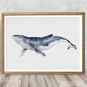Bultrug kunst aquarel kunst aquarel print walvis kinderkamer kunst walvis portret walvis tekening walvis schilderij walvis illustratie